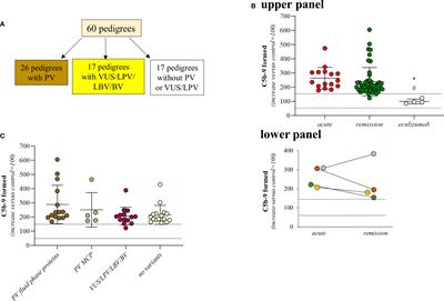 An ex vivo test to investigate genetic factors conferring susceptibility to atypical haemolytic uremic syndrome